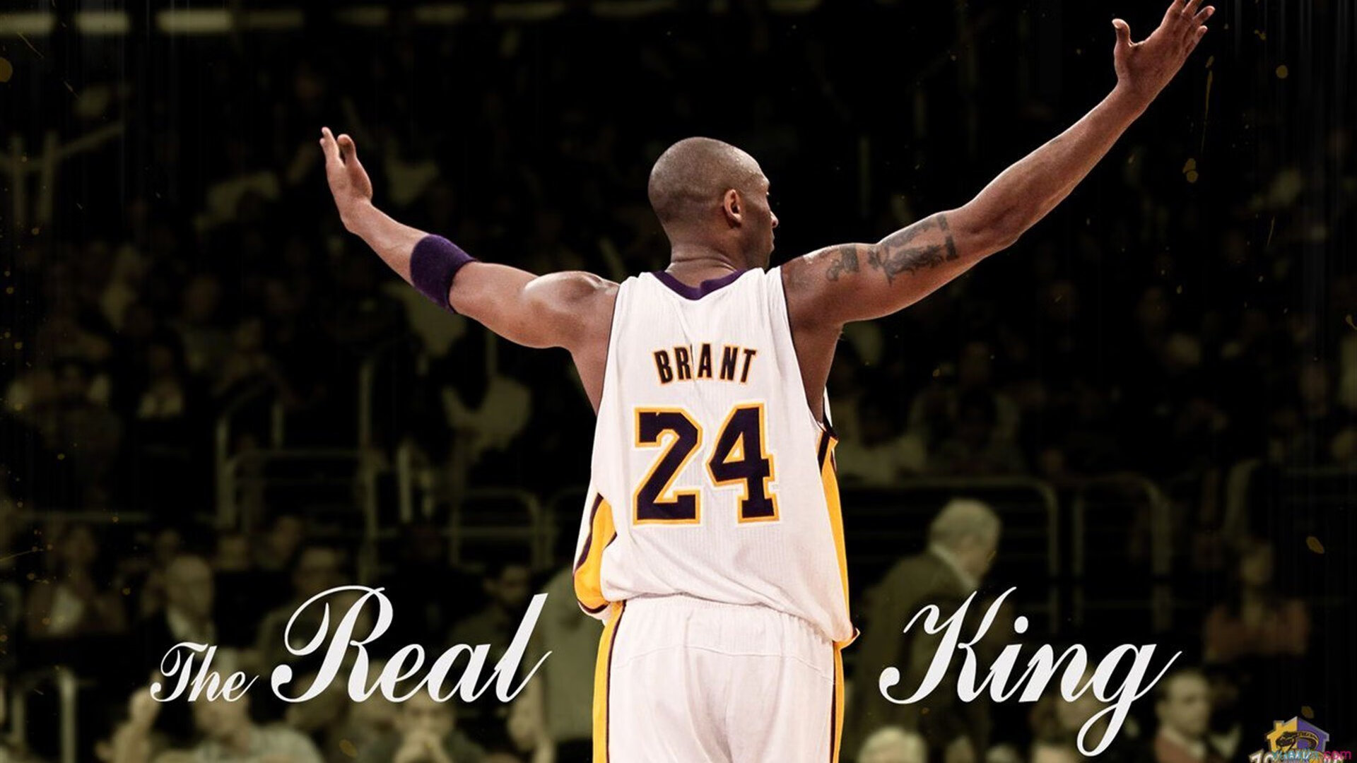 日本马术协会与国际马术联合会合作，举办国际马术交流活动，促进技术交流。